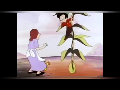 JACK-A LEH BEAN KUNG