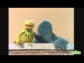 Sesame Street Kermit Loses His Sh T