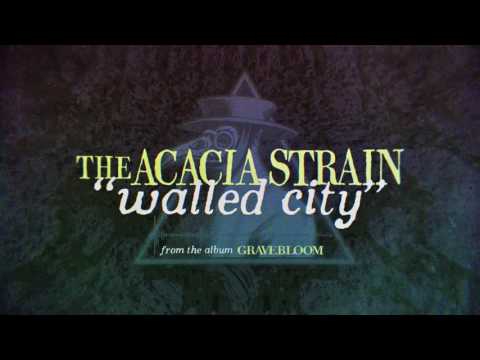 download lagu mp3 mp4 Acacia Walled City, download mp3 Acacia Walled City free download mp3, download mp3 Acacia Walled City