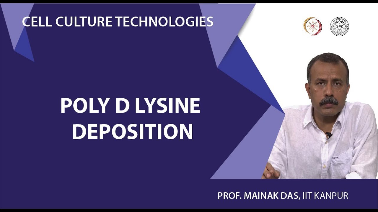 Poly D lysine deposition