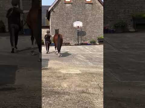 Video 4