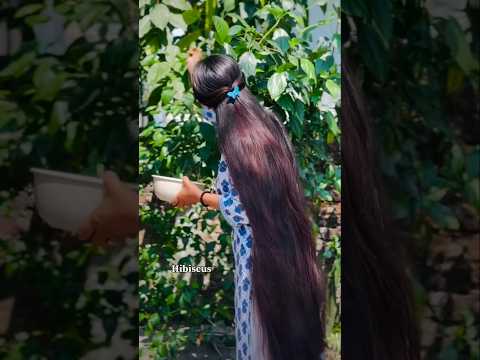 ✨ Magical Hair Growth Tonic For All Hair Problems , Hibiscus & Fenugreek For Hair Growth #shorts
