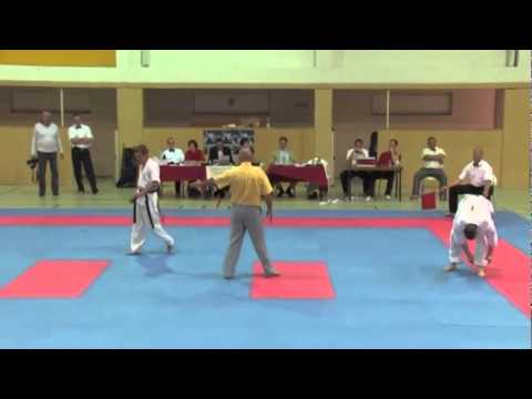 Basic vs. Jakovljević - VIENNA OPEN - Erstes offenes internationales Kyokushin-Kan Karate Turnier
