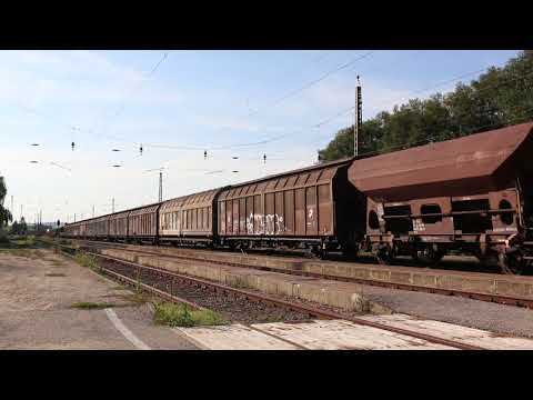 Güterzugdurchfahrt der Rh1144 durch Kirchstetten