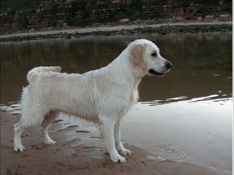 One of our visits to Foz do Lizandro