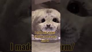 Download lagu RAGHH #wakeup #ringtone #alarm #imadethis #noai #bored #random #shorts #fyp #roblox #inspiration mp3