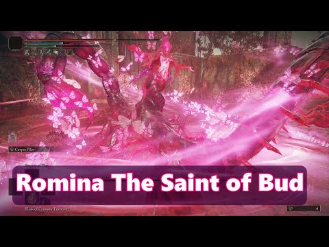 Romina The Saint of Bud Boss Fight