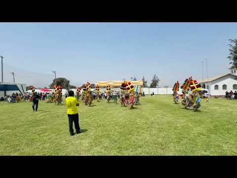 FIESTA PATRONAL SHUNQUI 2025 REPLICA CELEBRADA EN LIMA - NEGRITOS DE HUANUCO 