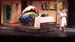 Little Shop of Horrors - Somewhere That&#39;s Green (Reprise) - Anabella Oddo
