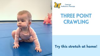 Three Point Crawling: Stretches to Try At Home!
