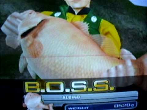 big catch bass fishing 2 wii cheats