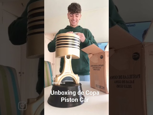 Vídeo relacionado con Disney 760-8462 - Mochila para coche (31 cm), diseño de campeón de la copa del pistón , color/modelo surtido