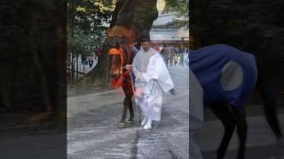 「伊勢神宮内宮 神馬見参！」 Keiko Matsui - Tribal Boat