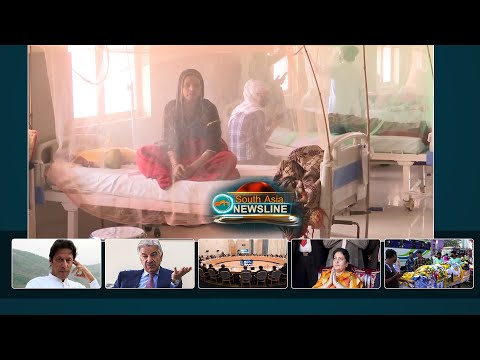 No let up in dengue cases in northern India despite winter nearing