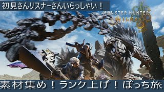 【モンハンワイルズ】ぼっち旅！装備と装飾品集めじゃ！　#モンハンワイルズ