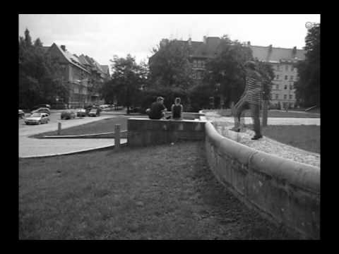 RoofRiders FreeRunning