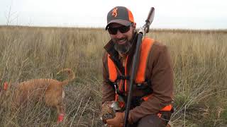 Rooster Road Trip Day #3