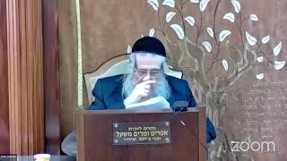 הרה"ג הרב וועכטר שליט"א ל' ניסם תשפ"ד - מאמר הרבי הריי"צ תש"ט ד"ה ונחה עליו רוח ה' חלק ג (הרב אברהם מנחם מענדל וכטר) - התמונה מוצגת ישירות מתוך אתר האינטרנט יוטיוב. זכויות היוצרים בתמונה שייכות ליוצרה. קישור קרדיט למקור התוכן נמצא בתוך דף הסרטון