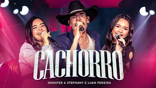 Cachorro [Ao Vivo] Lyrics English Translation