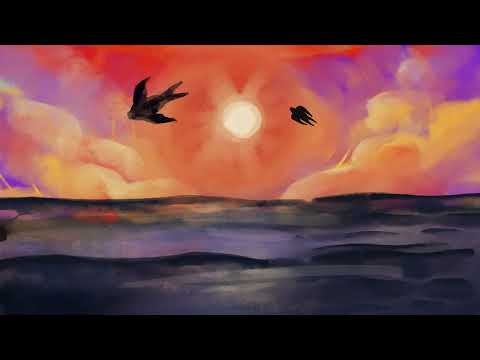 Rasmus Nøhr – Øresund (officiel musikvideo)