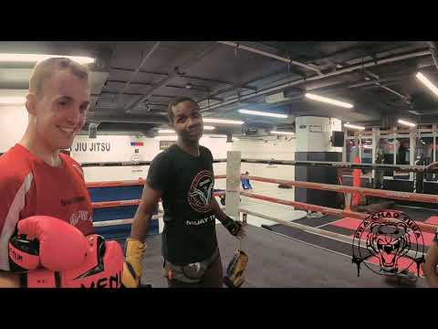 JOSIAS GOMES - The Dark Lion (PART 2)