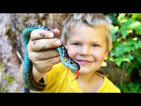 Catching and Eating Wild Snakes