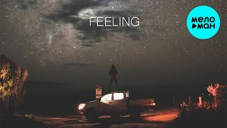 PVSHV  - Feeling (Single 2022)