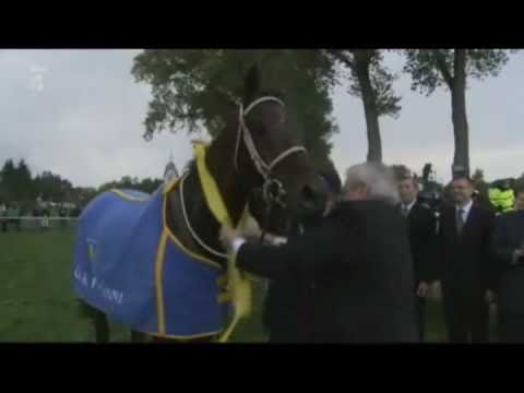 ♥Velká pardubická♥