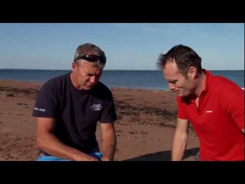Digging for clams -- and cooking them -- in Prince Edward Island