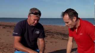 Digging for clams -- and cooking them -- in Prince Edward Island