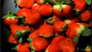 Download lagu Al-Haaqqa (The Reality) with Dari translation mp3 Download lagu Al-Haaqqa (The Reality) with Dari translation mp3