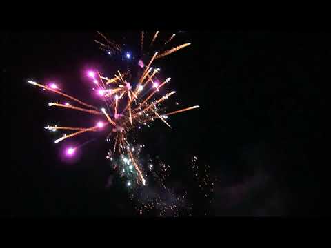 Cakebox 16Sh 30mm   Blinkweiden Dahlien Batch 2018