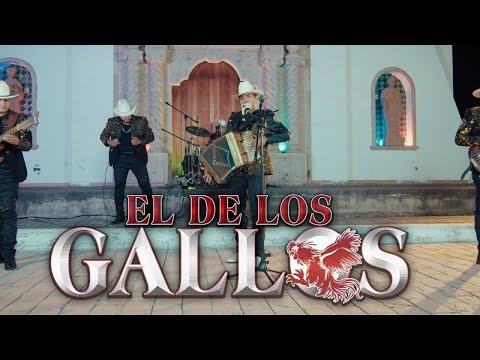 Alemi Bustos - El De Los Gallos (Video Musical)