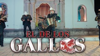 Video El De Los Gallos de Alemi Bustos