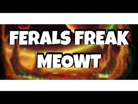 Duels Vs Boomkin & Feral - Windwalker Monk PvP 6.2.4