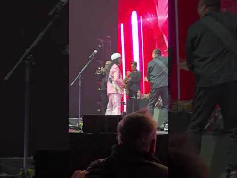 Nile Rodgers & Chic - Live 2025 #nilerodgers #chic #rock #Disco #soul #R&B #rock #funk #pop #dance