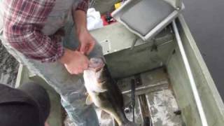 preview picture of video 'Catching bass at Caddo Lake'