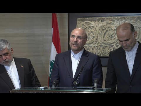 Tehran supports Lebanon's decisions, says Iran parliament speaker | AFP