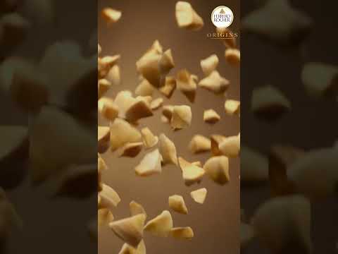 Ferrero Rocher Origins: Premium Dark Chocolate Assortment (15s 9:16)