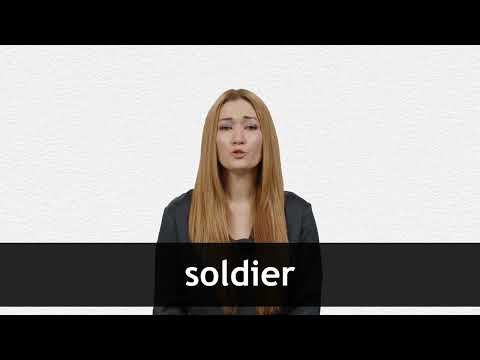 SOLDIER: Synonyms and Related Words. What is Another Word for SOLDIER? 