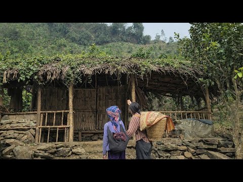 Everyone Thought She Was Unfortunate… Until They Saw Her Do This for a Homeless Elderly Woman