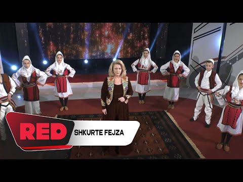 Shkurte Fejza -  Dita e pavaresise