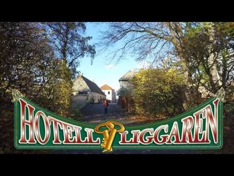 Hotelliggaren - 2017