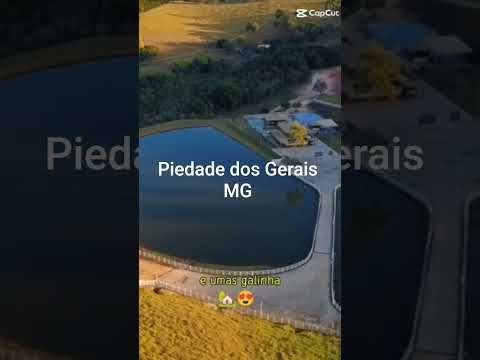 Fazenda em Piedade dos Gerais MG 48 HECTARE DE PURA BELEZA PARA EXIGENTES CONTATO MAURO 031994933655