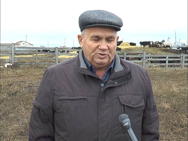 Возрождая былое 