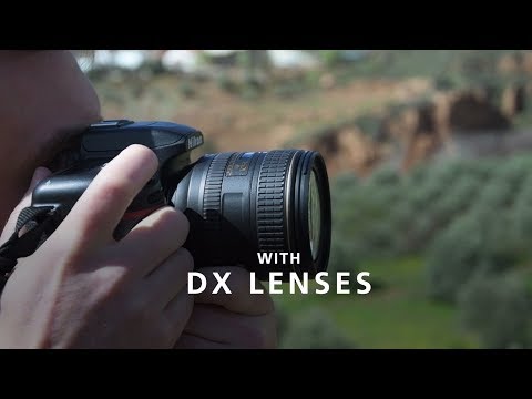 Nikon Z50 + NIKKOR Z DX 16-50mm f/3.5-6.3 VR + NIKKOR Z DX 50-250mm f/4.5-6.3 VR video