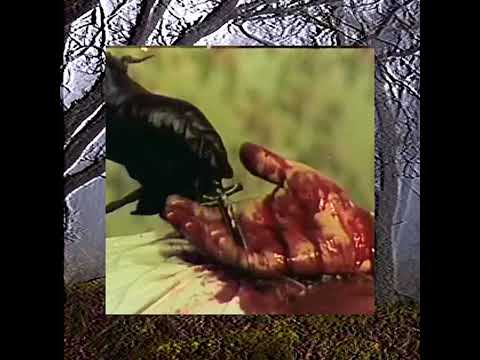 $UICIDEBOY$ - FRIDAY THE 13TH (PROD. SMKIE SMK)