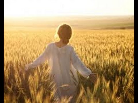 Tv7 con Voi sera del 28/01/2015 - Nuovo sviluppo per il territorio (6 di 6)