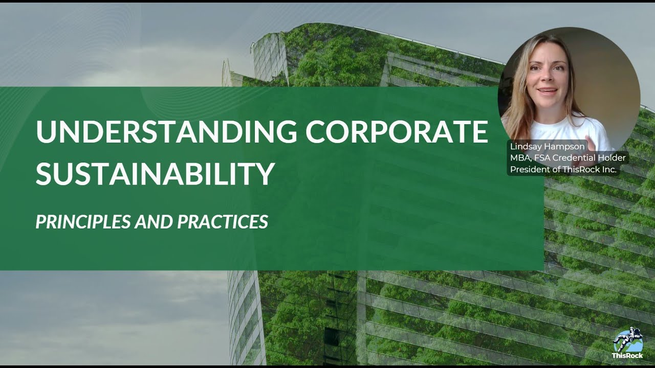 Understanding Corporate Sustainability: Principles and Practices