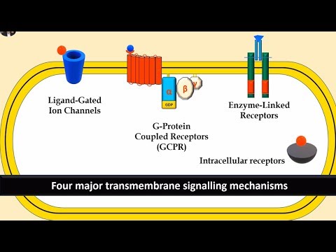 Receptors and Second Messenger system; G-protein, Enzyme linked and Ligand gated ion channels